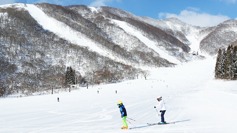 白馬コルチナスキー場