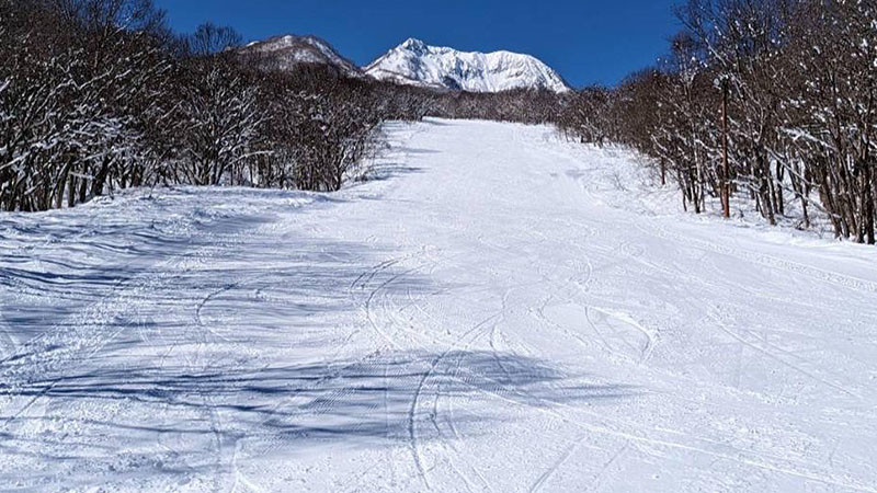 池の平温泉アルペンブリック