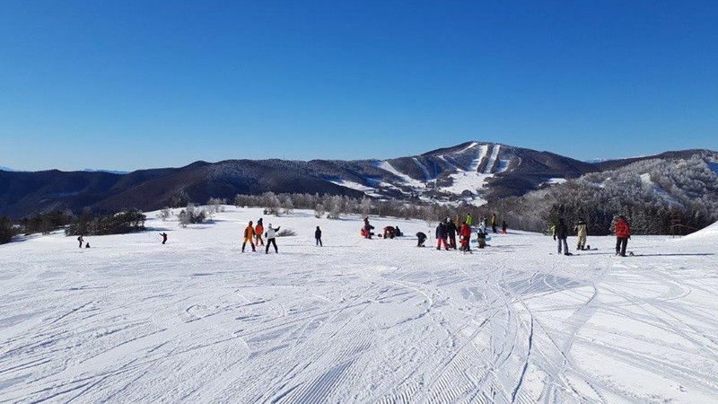 菅平高原スノーリゾート（全山エリア）