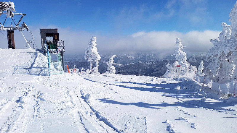 Mt.Naeba（苗場・かぐら共通）