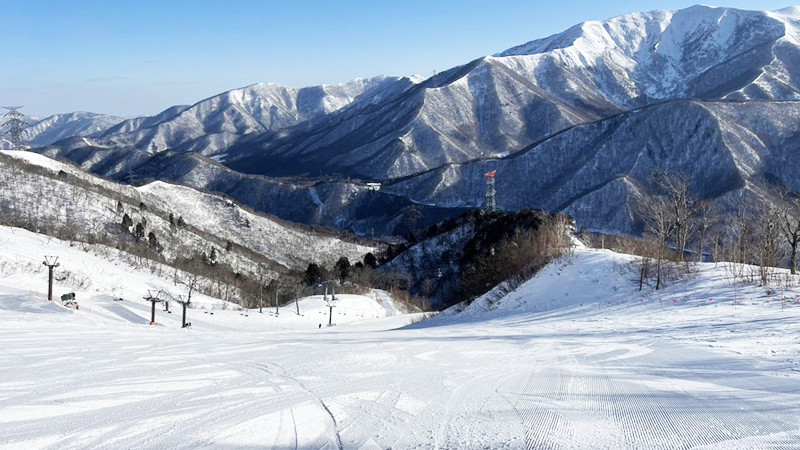 Mt.Naeba（苗場・かぐら共通）