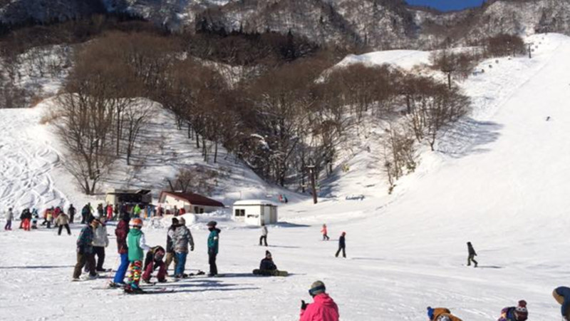 氷ノ山国際スキー場