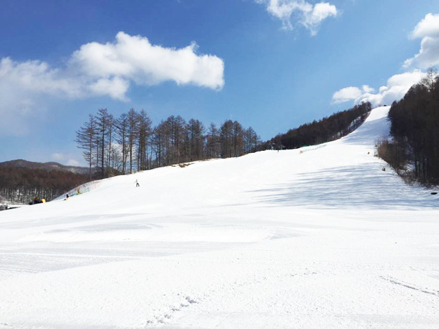 軽井沢スノーパークに行くならオリオンツアー 日帰り 宿泊スキー スノボツアー