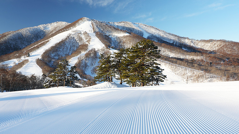 【関東発】JR日帰り 斑尾高原スキー場