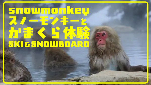 【名古屋発】スノーモンキー＆かまくら体験
