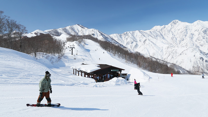 エイブル白馬五竜＆Hakuba47｜北アルプスの絶景と多彩なコースを楽しむ