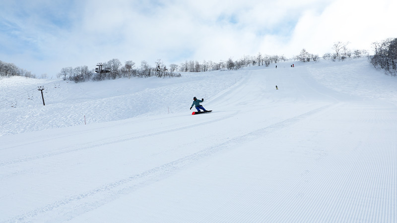 初心者も安心！つがいけマウンテンリゾートリフト券付きスノーボード
