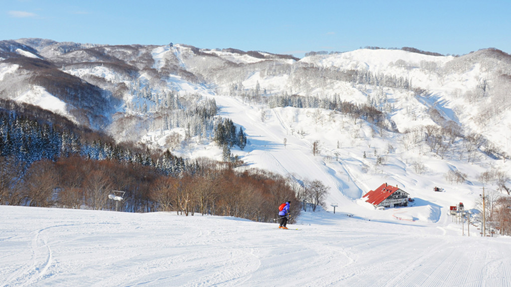 旅行会社オリオンツアーのスノーボード＆スキーツアーで大人気！長野県／エイブル白馬五竜＆Hakuba47を要チェック！！