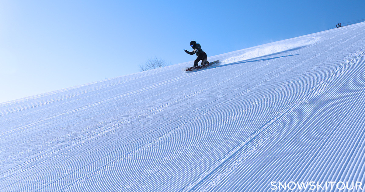 スノースキーツアー