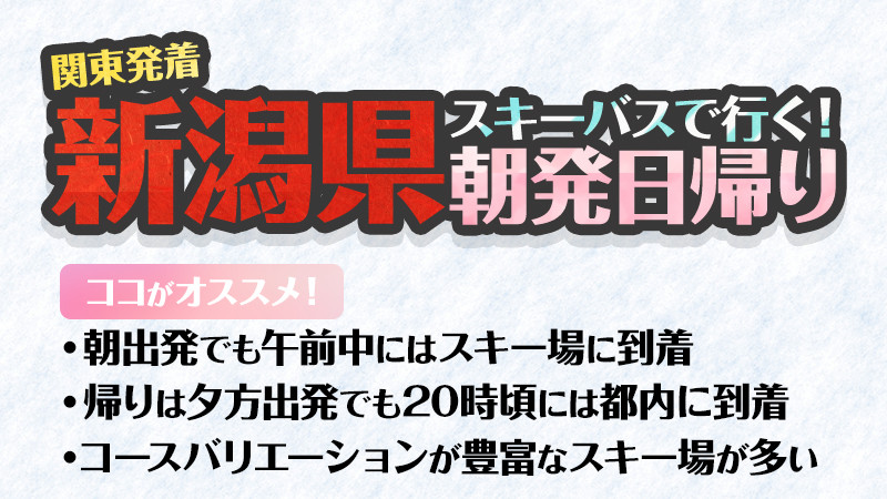 女性に人気（関東発着）新潟県に行く朝発日帰りプランがオススメ！
