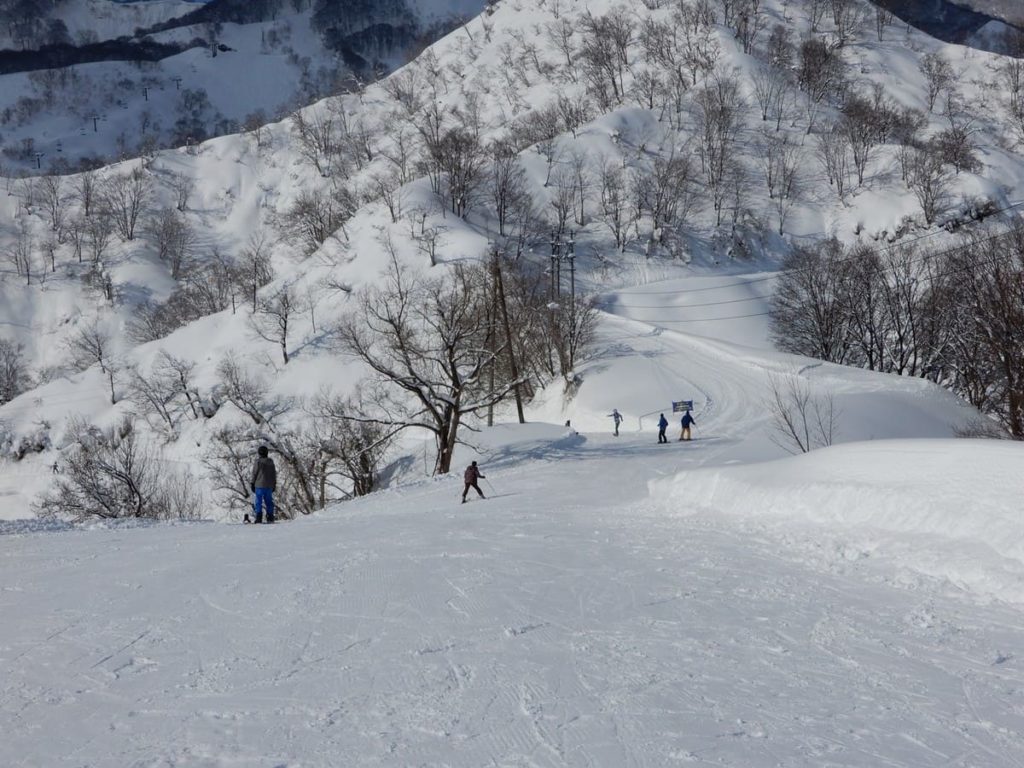 戸狩温泉スキー場 変化に富んだ3ゲレンデ&日本初の”雪ちゃり”でスノーアクティビティも更に充実! | スキーマガジン