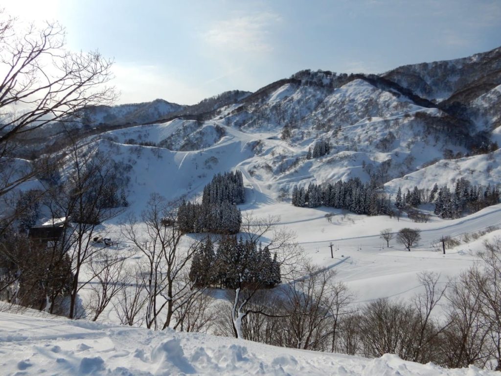 戸狩温泉スキー場 変化に富んだ3ゲレンデ&日本初の”雪ちゃり”でスノーアクティビティも更に充実! | スキーマガジン