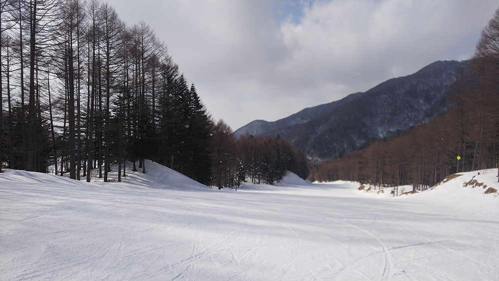 雪質は最高!ゲレンデも広くて滑りやすい