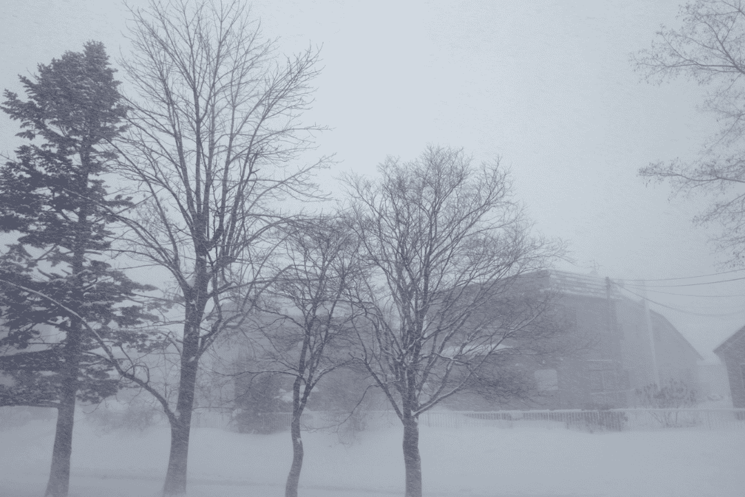 雪の少ないスキー場