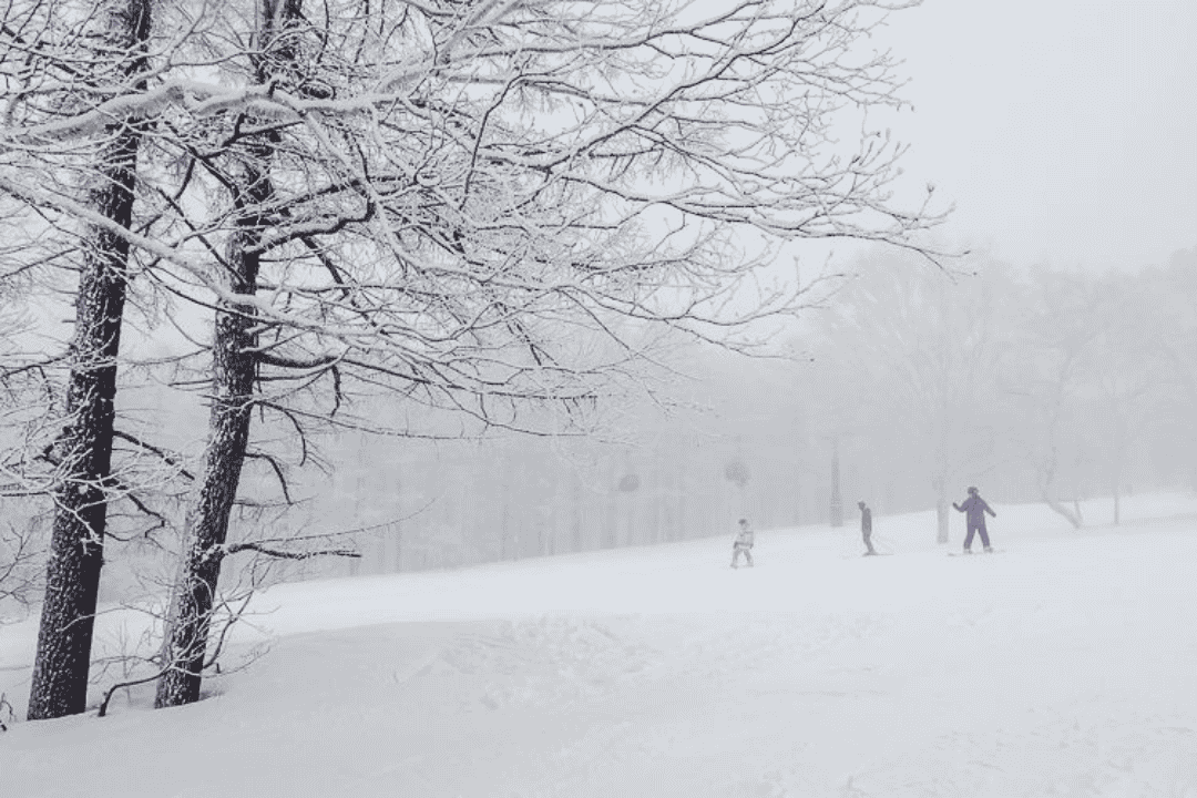 テディベアのあった地点